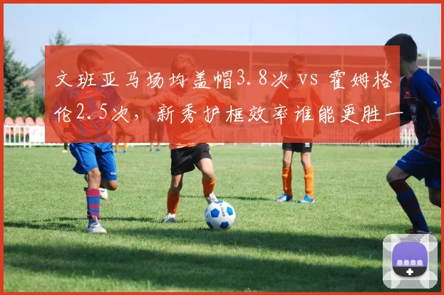 文班亚马场均盖帽3.8次 vs 霍姆格伦2.5次，新秀护框效率谁能更胜一筹？