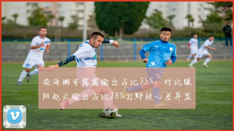 花海娜可露露输出占比35%,对比暖阳赵云输出占比28%打野核心差异显著